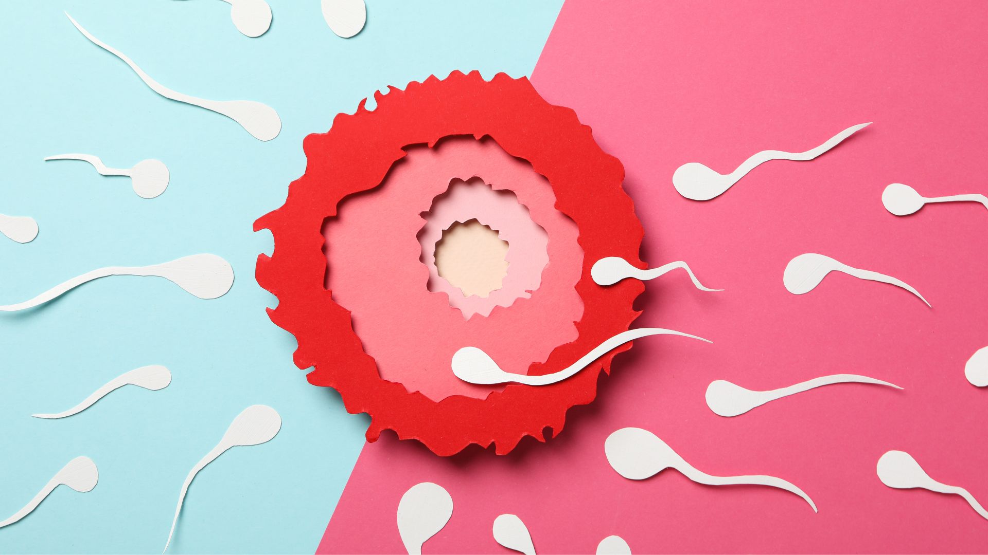 Apa saja yang menyebabkan gangguan kesuburan Wanita?